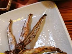 -宁喜屋 日式居酒屋(宝信·城市广场店)