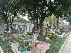 -碧江金楼