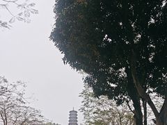 -红花山公园