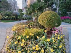 -北外滩滨江绿地