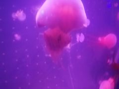 -欧亚达商业广场(红桥店)