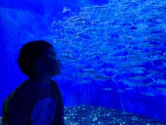 -成都浩海立方海洋公园