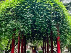 -陕西师范大学(雁塔校区)