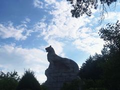 -帽儿山国家森林公园