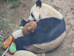 -大连森林动物园