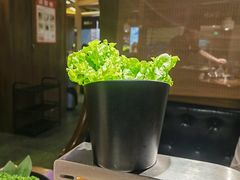 -九田家黑牛烤肉料理(新辰里亚运村店)