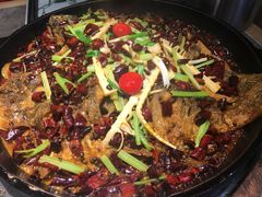 -老板恋上鱼(恒隆广场店)