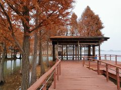 景点-贡湖湾湿地公园