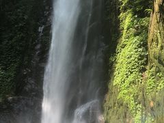 -莫里热带雨林景区