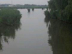 -白渔泡湿地公园