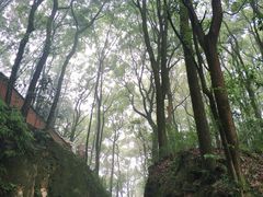 -道教老君洞