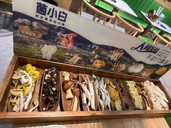 -菌小白火锅(时尚天河店)