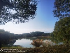 -福建鲤鱼洲酒店