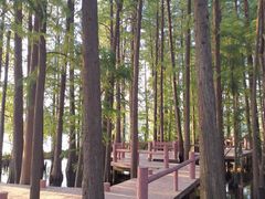 -东湖落雁景区