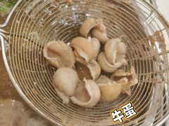 -杏花吴记牛肉火锅
