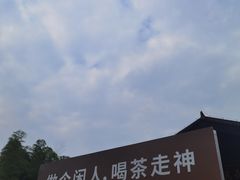 -大唐贡茶院