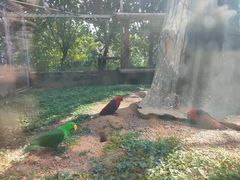 -东莞香市动物园