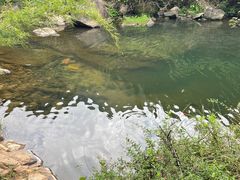 -马峦山郊野公园