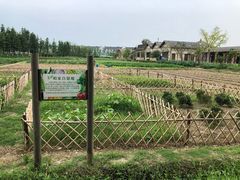 -乌村