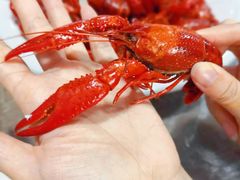 -指爱龙虾(金杨路总店)