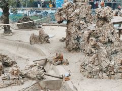-成都动物园