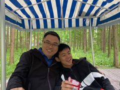 -黄海国家森林公园