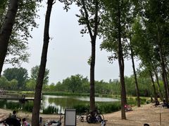 -东郊湿地公园