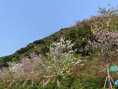 -小南山公园