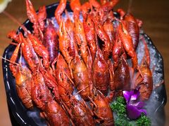 经典酒醉龙虾-红盔甲·小龙虾(天钥桥店)