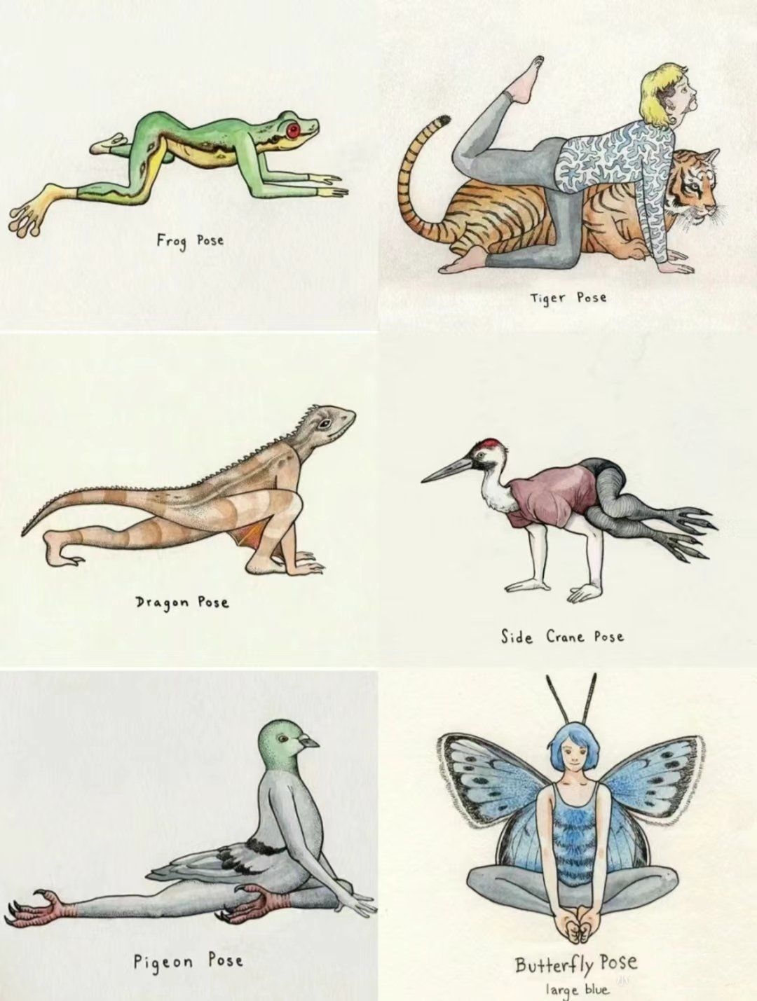 模仿动物练瑜伽