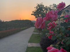 -呼吸森林·生态农庄农家乐私房菜