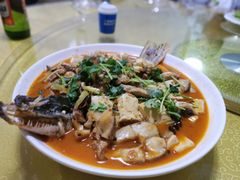 -煲来饱去冷水鱼
