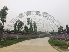 -秀丽东方