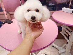 -FAELING PETS美天灵宠物(富力广场店)