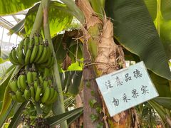 -国家植物园南园