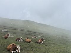 -灵山