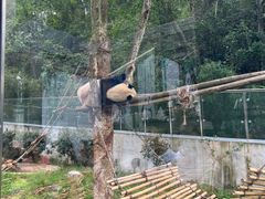 -黔灵山公园