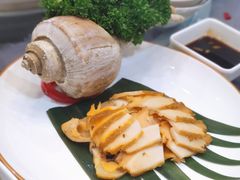茅台炭烧响螺-金龙·打边炉(武进路店)