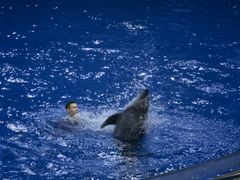 -多彩贵州城极地海洋世界