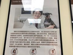 -美联众合动物医院·24h转诊中心