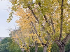 -华东政法大学(松江校区)