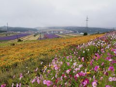 -草原天路(张北县)
