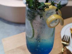 -瞄一喵猫咖(格力海岸店)
