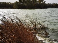 -大兴滨河森林公园