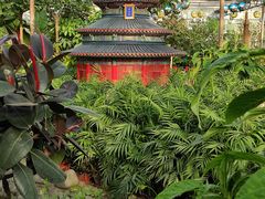 -南宫五洲植物乐园