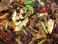 -老板恋上鱼(恒隆广场店)