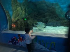 -常州海昌海洋探索馆