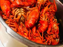 -蚝翅·海鲜粥·烧烤·宁夏滩羊季(玉米楼店)