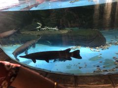 -苏州海洋馆