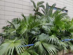 -湖南省地质博物馆